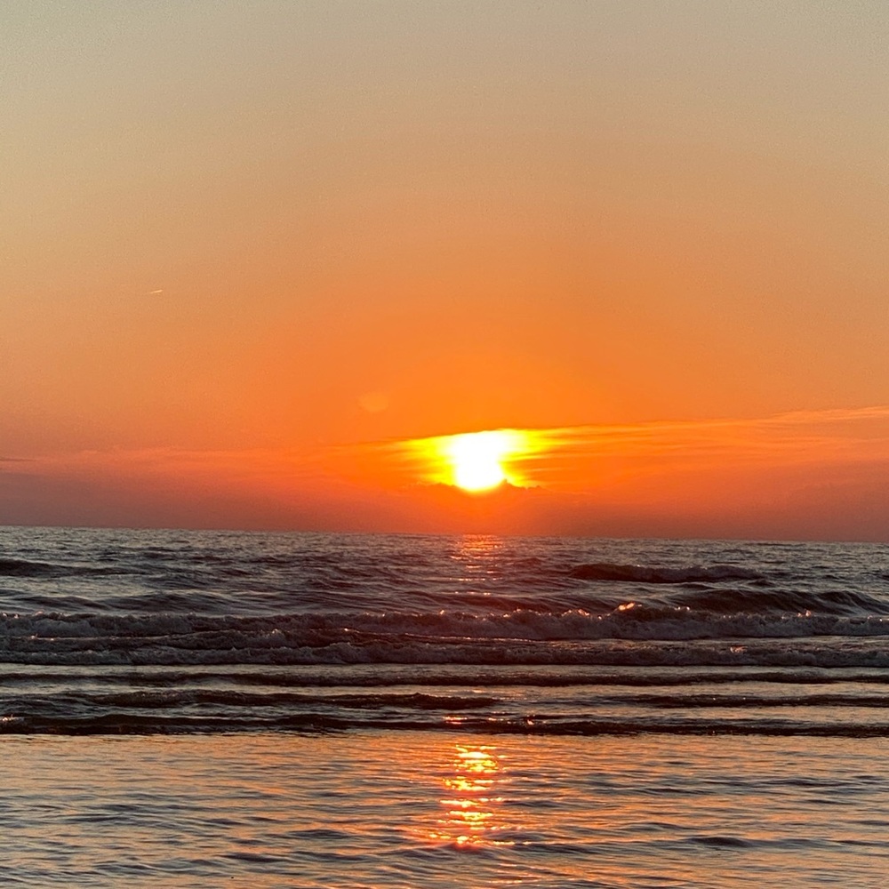 Meet your Posher, Parker - Picture 13 of 13